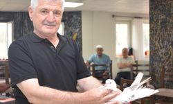 Fiyatı 5 milyon liraya kadar çıkan şebap güvercinleri podyumda/Ek fotoğraflar
