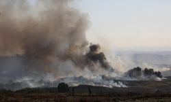 Fransa'daki orman yangını İkinci Dünya Savaşı'ndan kalma bombaları ortaya çıkardı