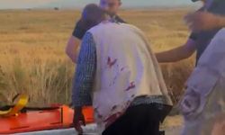Gaziantep'te hayvan otlatma kavgası; 2 yaralı