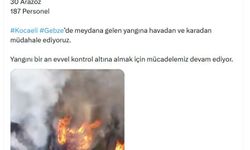 Gebze'de orman yangını (2)