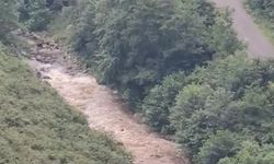 Giresun'da derede akıntıya kapılan 2 kızının ardından annenin de cansız bedeni bulundu (3)