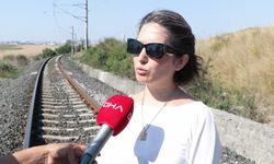 Göç yolunda akıma kapılan 52 leylek öldü