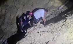 Göksu Nehri'nde mahsur kalan 2 kişi kurtarıldı