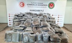 Hamzabeyli Sınır Kapısı'nda 287 kilo 910 gram esrar ele geçirildi