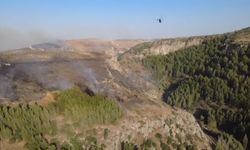 Hatay'da orman yangını (2)