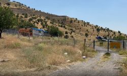Hayvanları koruma derneği başkanının öldürülmesine ilişkin kardeşi aranıyor