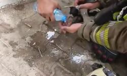 İtfaiye erlerinden, alevlerin arasından kurtardıkları kediye oksijen tedavisi