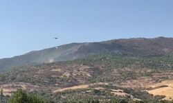 İzmir'de orman yangını (2)