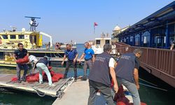 İzmir'de yasa dışı yollarla avlanılan 560 kilo kara midyeye el konuldu