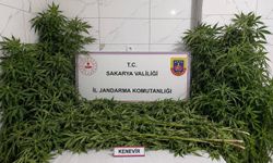 Jandarmanın 2 ayrı uyuşturucu operasyonunda 3 tutuklama