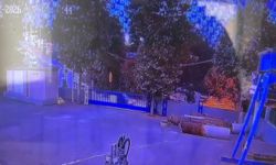 Kağıthane'de Bedriye'yi öldüren kocasının ifadesi ortaya çıktı: Cesedi battaniyeye sarıp kayınvalidemle sohbet ettim