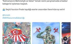 'Kahramanım Mehmetçik ve Vatan' resim yarışması halk oylamasına açıldı