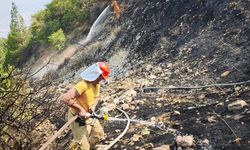 Kahramanmaraş'ta çıkan orman yangını söndürüldü