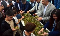 Kahramanmaraş'ta fındık festivali