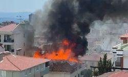 Kartal'da yangında mahsur kalan kediyi itfaiye kurtardı
