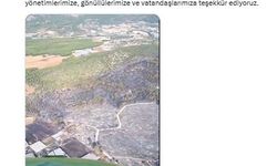Kaş'taki orman yangını kontrol altında (2)
