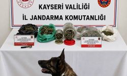 Kayseri'de 1,2 kilo esrar ele geçirildi; 1 gözaltı