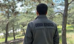 KDK'dan, diyabet hastası orman muhafaza memuru için 'açık arazide çalışmasın' tavsiye kararı