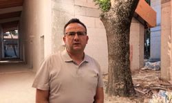 Kesilmemesi için projesi değiştirilen okuldaki ağaçlar, binanın içinde yaşatılacak