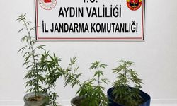Kuşadası'nda uyuşturucu operasyonu: 3 gözaltı