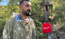 Kuzenler, arıların izini sürüp geleneksel yöntemlerle bal hasadı yapıyor