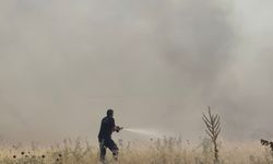 Malatya'da orman yangını (2)