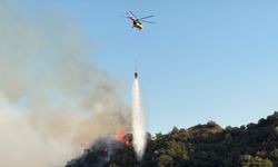 Manisa'da makilik alanda yangın (2)