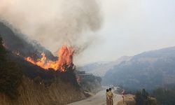 Manisa'da makilik alanda yangın