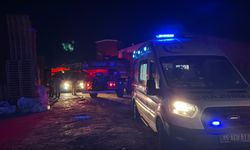 Manisa'da palet fabrikasında yangın