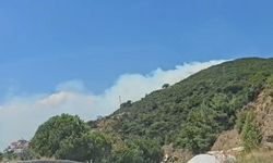 Marmara Adası'nda orman yangını (2)