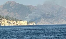 Marmaris'te orman yangını