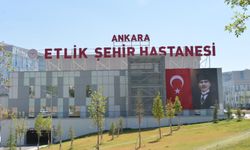 Meme kanseri riskini kişiye özel hesaplayan yapay zeka modeli