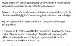 Muğla'da orman yangını (3)