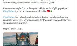 Muğla'da orman yangını ikinci gününde (2)