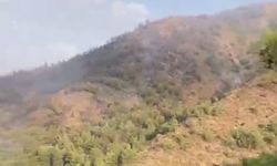 Muğla'da orman yangını ikinci gününde