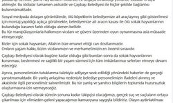 Ordu'da sokak hayvanlarını Akkuş ilçesine bırakan 3 kişi yakalandı (2)