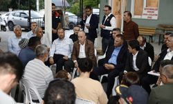 Orman yangınından etkilenen 5 ilde hasar tespit çalışmaları tamamlandı