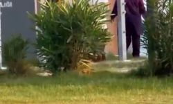 Plajda tesettürlü kadınları görüntüleyip hakaret edenlere soruşturma