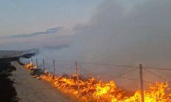 Polatlı'da yangın çıkaran şüpheli tutuklandı (2)