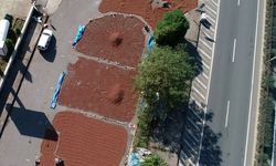 Sahil yolu kenarında fındık kurutma mesaisi / Ek fotoğraflar