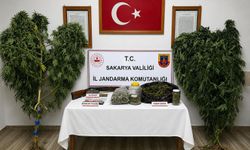 Sakarya'da uyuşturucu ve kaçakçılık operasyonu: 2 tutuklama