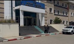Şampuan şişelerine gizlediği sıvı metamfetaminle yakalanan şüpheli tutuklandı