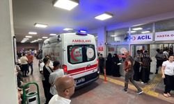 Şanlıurfa'da devrilen otomobildeki gazeteci öldü