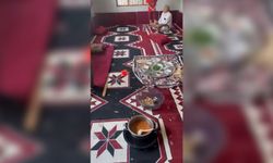 Şanlıurfa'da husumetli ailelerin kavgası kamerada: 6 yaralı