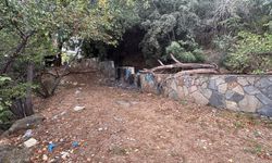 Sarıyer'de parkta oturan adam çalılıkların arasında erkek cesedi buldu