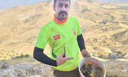 Sarp kayalıklarda bal hasadı