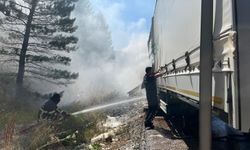 Şeker yüklü TIR'ın dorsesinde çıkan yangın ağaçlara sıçradı