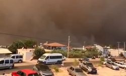Seydikemer'de tarım arazisinde çıkan yangın, Kaş'ta ormana sıçradı (3)