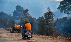 Seydikemer'de tarım arazisinde çıkan yangın, Kaş'ta ormana sıçradı (4)