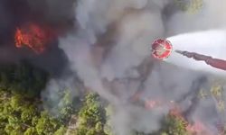Seydikemer'de tarım arazisinde çıkan yangın, Kaş'ta ormana sıçradı / Ek fotoğraflar